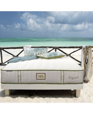Paramount - Nature Spa Celestial 2.0 11" Extra Firm Mattress Set-Twin XL