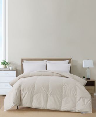 Nikki Chu - 250-Thread Count Down Comforter, Queen